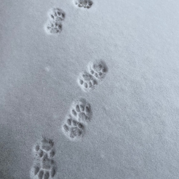 Meet your Posher, April - Picture 1 of 1